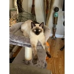 Image 3 of customer photos