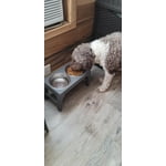 Image 5 of customer photos