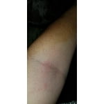 Image 6 of customer photos