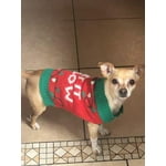 Image 6 of customer photos