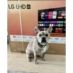 Image 7 of customer photos