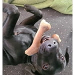 Image 3 of customer photos