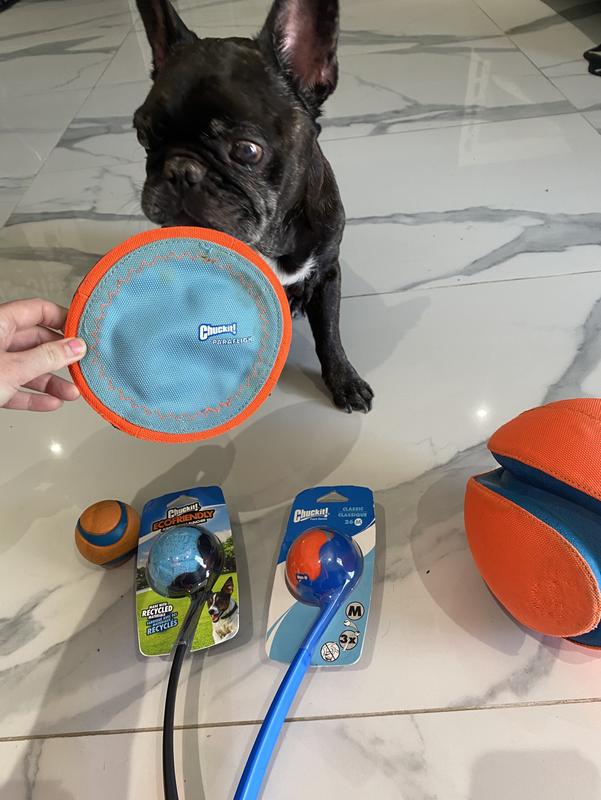 Chuckit!, Flying Disc, 6.5