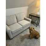 Image 2 of customer photos