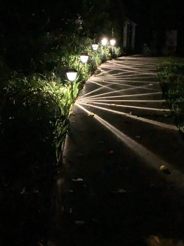 Member's Mark 5-Piece LED Solar Path Lights, Stainless Steel