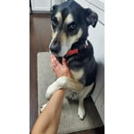 Image 3 of customer photos