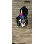 Image 6 of customer photos