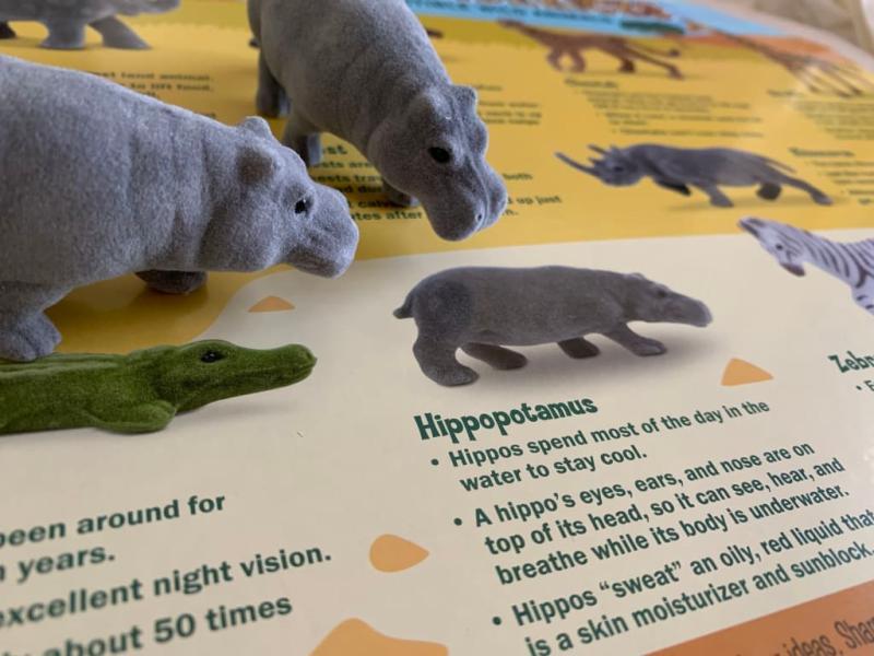 melissa and doug safari sidekicks