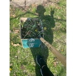 Image 6 of customer photos