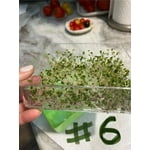 Image 4 of customer photos