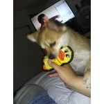 Image 5 of customer photos