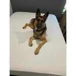 Image 5 of customer photos