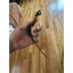 Image 4 of customer photos