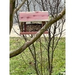 Image 7 of customer photos