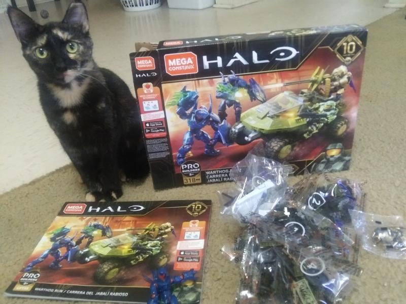 Warthog Run Halo Mega Construx | atelier-yuwa.ciao.jp