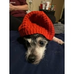 Image 7 of customer photos