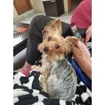 Imagen 8 de las fotos del cliente