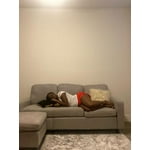 Image 5 of customer photos