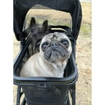 Image 6 of customer photos