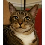 Image 4 of customer photos