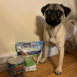 Image 3 of customer photos