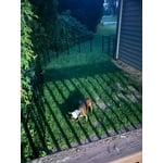 Image 2 of customer photos