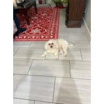 Image 3 of customer photos