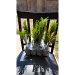 Image 4 of customer photos