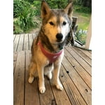 Image 7 of customer photos