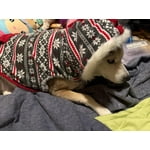 Image 5 of customer photos