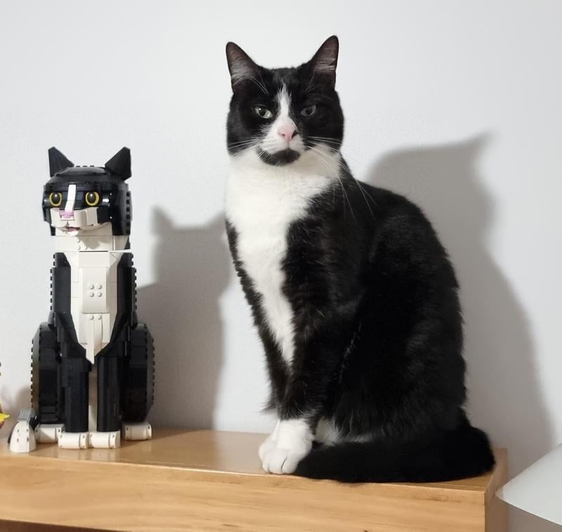 LEGO Ideas Tuxedo Cat Building Set, Home Décor, Collectible Model