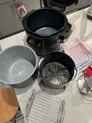 P.Foongsiqi 大株 超大株】ビカクシダ P.Foong Si Qi フーンシキ