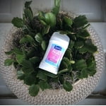 Image 5 of customer photos