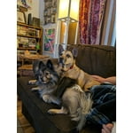 Image 1 of customer photos