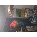 Image 4 of customer photos