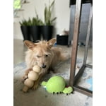 Image 6 of customer photos