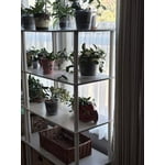 Image 7 of customer photos