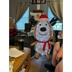 Image 1 of customer photos