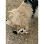 Image 6 of customer photos