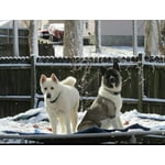 Image 3 of customer photos