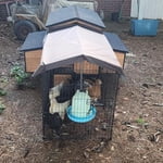 Image 4 of customer photos