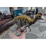 Image 4 of customer photos