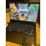 Image 7 of customer photos