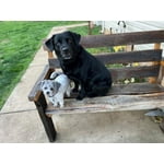 Image 1 of customer photos