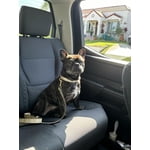 Image 6 of customer photos