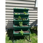 Image 1 of customer photos