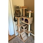 Image 5 of customer photos