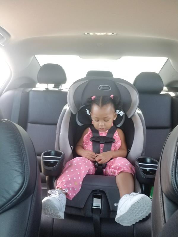 evenflo maestro taylor