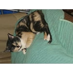 Image 2 of customer photos