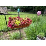 Image 6 of customer photos